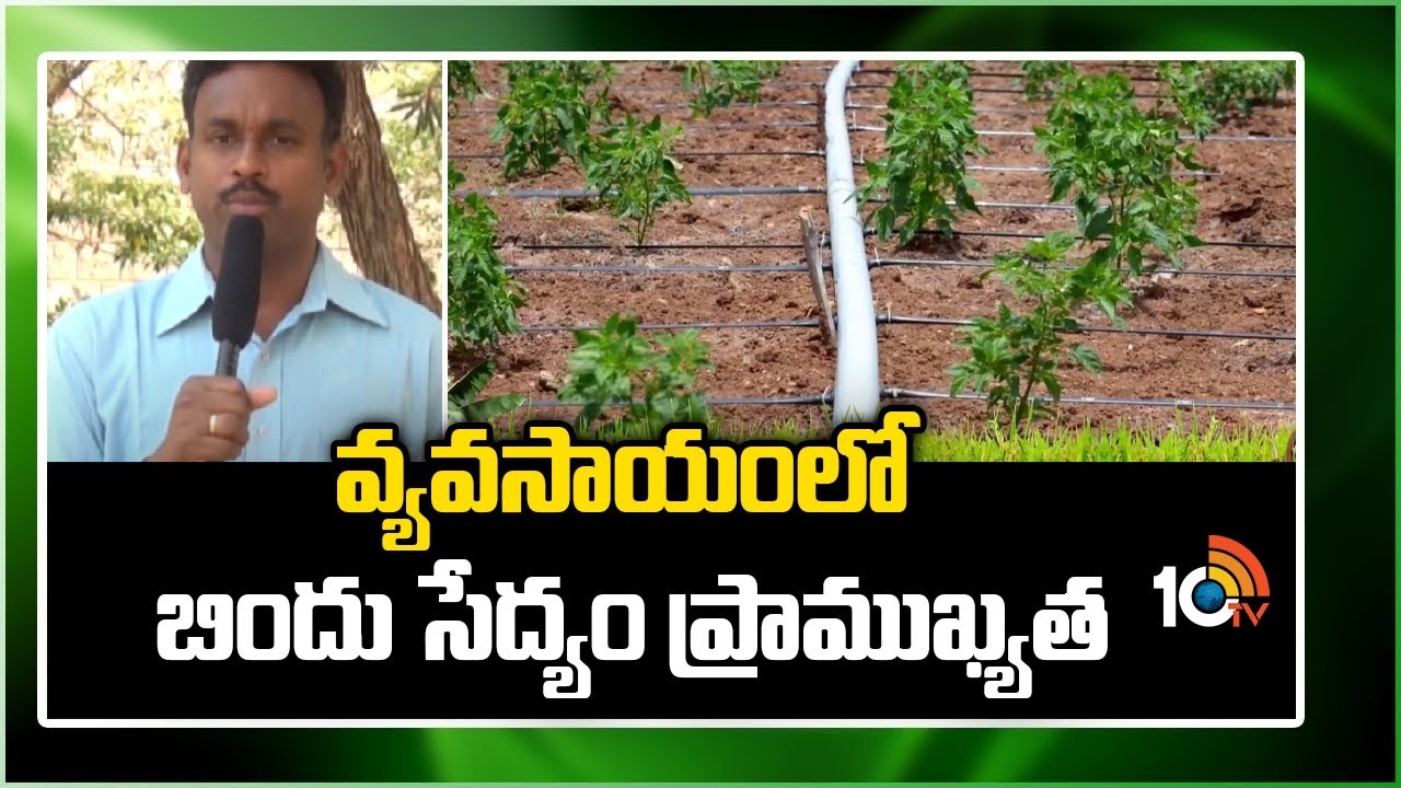 Drip Irrigation : వ్యవసాయంలో బిందు సేద్యం ప్రాముఖ్యత.. తక్కువ నీటితోనే అధిక విస్తీర్ణంలో పంటల సాగు Drip Irrigation : వ్యవసాయంలో బిందు సేద్యం ప్రాముఖ్యత.. తక్కువ నీటితోనే అధిక విస్తీర్ణంలో పంటల సాగు
