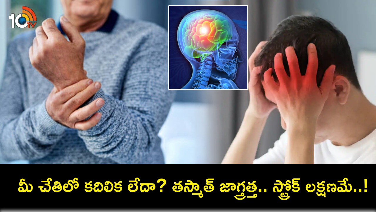 Brain Stroke Symptoms : మీ చేతిలో బలహీనతగా అనిపిస్తుందా? కదిలించలేకపోతున్నారా? బ్రెయిన్ స్ట్రోక్ ప్రారంభ సంకేతాలివే..! Brain Stroke Symptoms : మీ చేతిలో బలహీనతగా అనిపిస్తుందా? కదిలించలేకపోతున్నారా? బ్రెయిన్ స్ట్రోక్ ప్రారంభ సంకేతాలివే..!