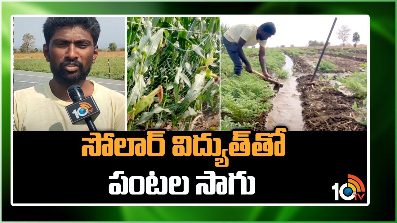 Solar Power Cultivation : సోలార్ విద్యుత్తో పంటల సాగు Solar Power Cultivation : సోలార్ విద్యుత్తో పంటల సాగు