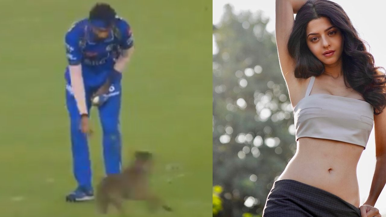 IPL 2024 : ఐపీఎల్ నిర్వాహుకులపై హీరోయిన్ సీరియస్.. హార్దిక్ పాండ్య బౌలింగ్ సమయంలో.. IPL 2024 : ఐపీఎల్ నిర్వాహుకులపై హీరోయిన్ సీరియస్.. హార్దిక్ పాండ్య బౌలింగ్ సమయంలో..