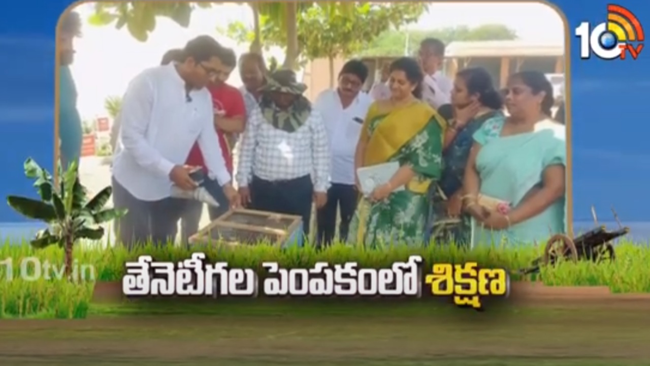 Honey Bee Training : తేనెటీగల పెంపకంలో శిక్షణ.. స్వయం ఉపాధిగా తేనెటీగల పెంపకం Honey Bee Training : తేనెటీగల పెంపకంలో శిక్షణ.. స్వయం ఉపాధిగా తేనెటీగల పెంపకం