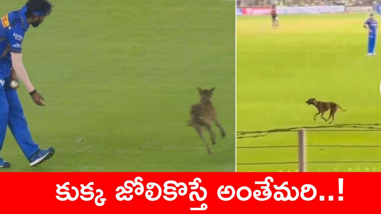IPL 2024 : ఐపీఎల్ మ్యాచ్ జరుగుతుండగా గ్రౌండ్లోకి కుక్క.. వారిపై జరిమానా విధించాలంటూ డిమాండ్ IPL 2024 : ఐపీఎల్ మ్యాచ్ జరుగుతుండగా గ్రౌండ్లోకి కుక్క.. వారిపై జరిమానా విధించాలంటూ డిమాండ్