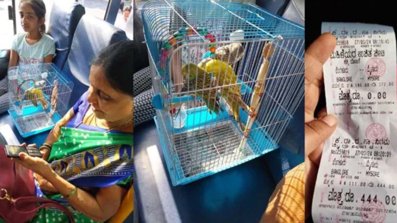 ఏంటి గురూ ఇది..! ఆర్టీసీ బస్సెక్కిన చిలుకలకు టికెట్ కొట్టి ఛార్జీ వసూలు చేసిన కండక్టర్ ఏంటి గురూ ఇది..! ఆర్టీసీ బస్సెక్కిన చిలుకలకు టికెట్ కొట్టి ఛార్జీ వసూలు చేసిన కండక్టర్