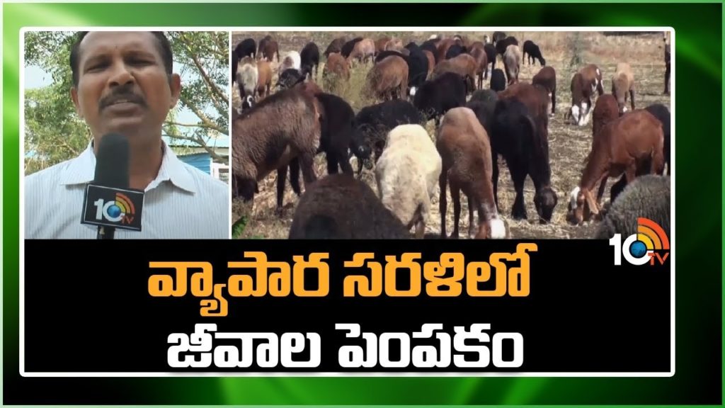 Livestock Farming