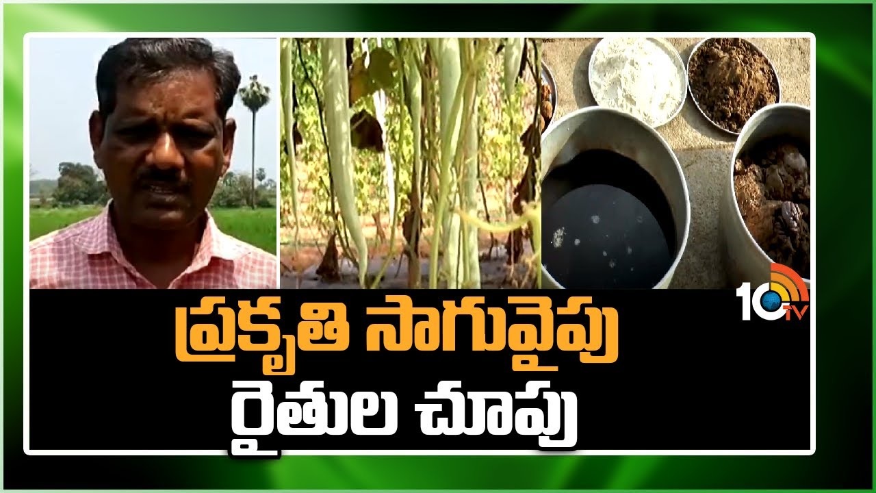 Natural Farming : ప్రకృతి సాగువైపు రైతుల చూపు.. తక్కువ పెట్టుబడితో, నాణ్యమైన దిగుబడులు Natural Farming : ప్రకృతి సాగువైపు రైతుల చూపు.. తక్కువ పెట్టుబడితో, నాణ్యమైన దిగుబడులు
