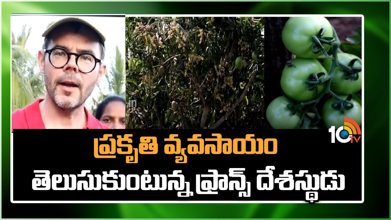 Nature Farming : పెట్టుబడిలేని ప్రకృతి వ్యవసాయం వైపు రైతుల చూపు.. Nature Farming : పెట్టుబడిలేని ప్రకృతి వ్యవసాయం వైపు రైతుల చూపు..