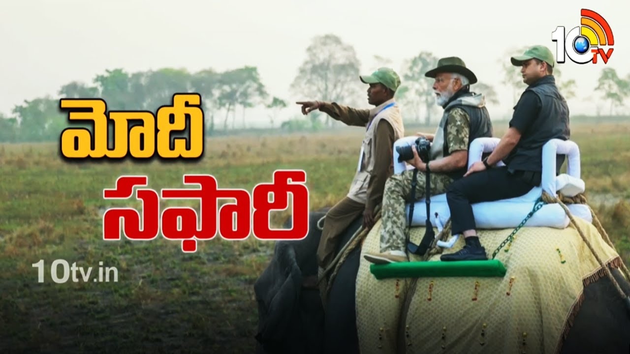 PM Modi Elephant Safari : కజిరంగా నేషనల్ పార్కులో ఏనుగుపై ప్రధాని మోదీ సఫారీ