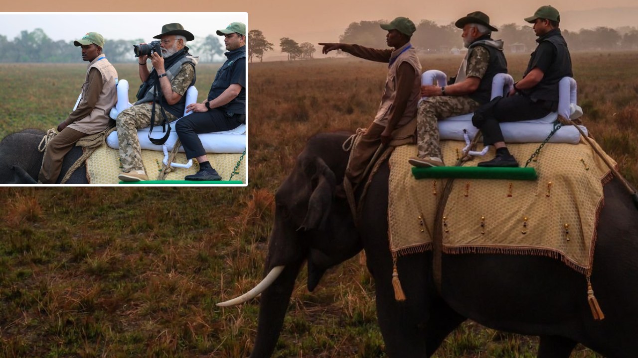 PM Modi : అభయారణ్యంలో ఏనుగుపై మోదీ సఫారీ.. జంతువుల చిత్రాలను కెమెరాలో బంధించిన పీఎం.. ఫొటోలు వైరల్