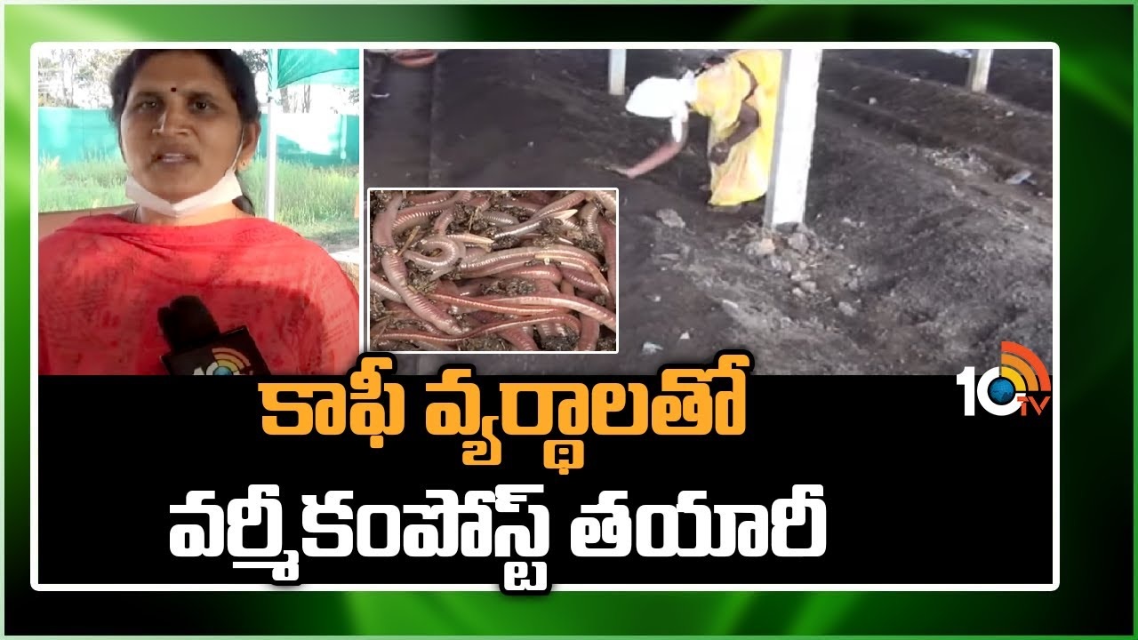 Coffee Vermi Compost : కాఫీ గింజల వ్యర్ధాలతో వర్మీకంపోస్ట్ తయారీ Coffee Vermi Compost : కాఫీ గింజల వ్యర్ధాలతో వర్మీకంపోస్ట్ తయారీ