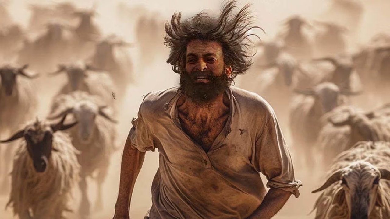 The Goat Life – Aadu Jeevitham Collections : పృథ్వీరాజ్ సుకుమారన్ ‘గోట్ లైఫ్’ ఫస్ట్ డే కలెక్షన్స్ ఎంతంటే..! The Goat Life – Aadu Jeevitham Collections : పృథ్వీరాజ్ సుకుమారన్ ‘గోట్ లైఫ్’ ఫస్ట్ డే కలెక్షన్స్ ఎంతంటే..!