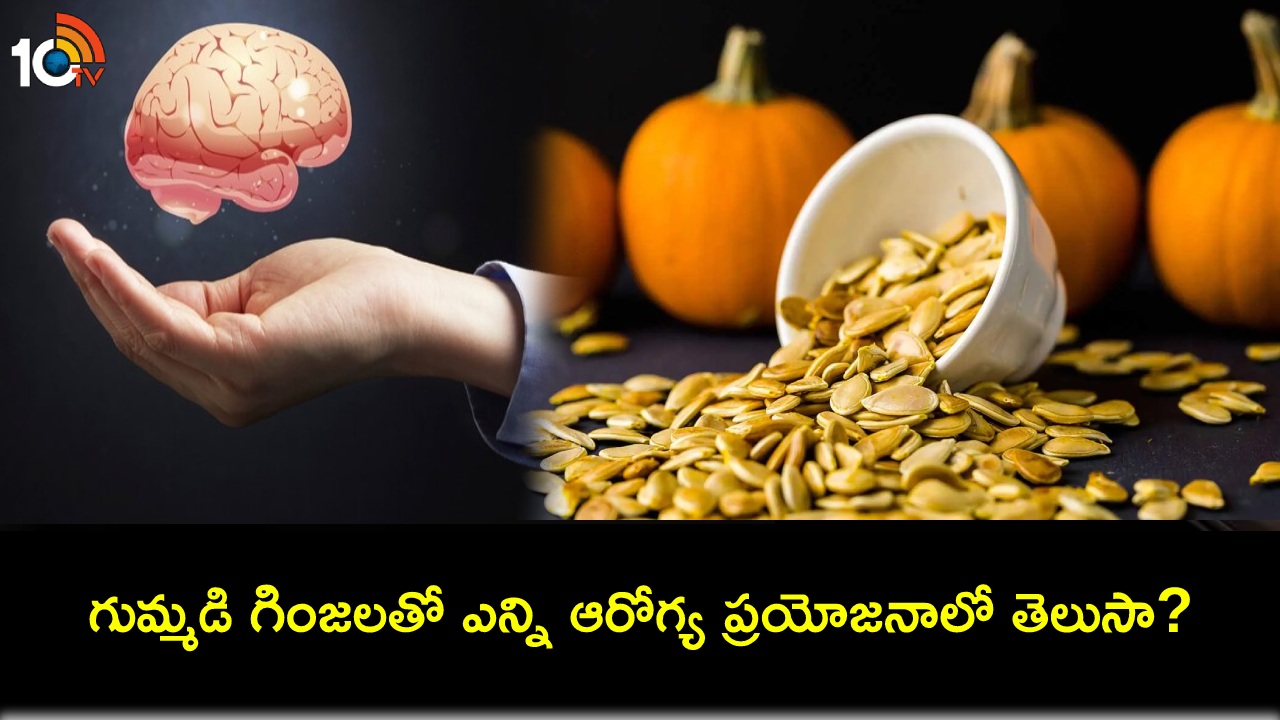 Pumpkin Seeds Benefits : గుమ్మడి గింజలతో అద్భుతమైన ప్రయోజనాలు.. మెదడు ఆరోగ్యం కోసం మీ డైట్లో తప్పక చేర్చుకోండి..! Pumpkin Seeds Benefits : గుమ్మడి గింజలతో అద్భుతమైన ప్రయోజనాలు.. మెదడు ఆరోగ్యం కోసం మీ డైట్లో తప్పక చేర్చుకోండి..!