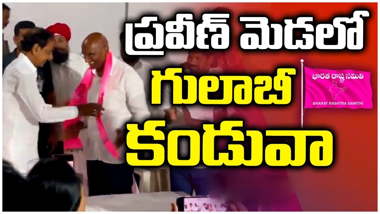RS Praveen Kumar : బీఆర్ఎస్లో చేరిన ఆర్ఎస్ ప్రవీణ్ కుమార్.. కండువా కప్పి ఆహ్వానించిన కేసీఆర్ RS Praveen Kumar : బీఆర్ఎస్లో చేరిన ఆర్ఎస్ ప్రవీణ్ కుమార్.. కండువా కప్పి ఆహ్వానించిన కేసీఆర్