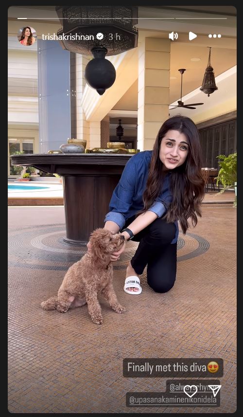 Ram Charan Pet Dog Rhyme with Janhvi Kapoor Trisha