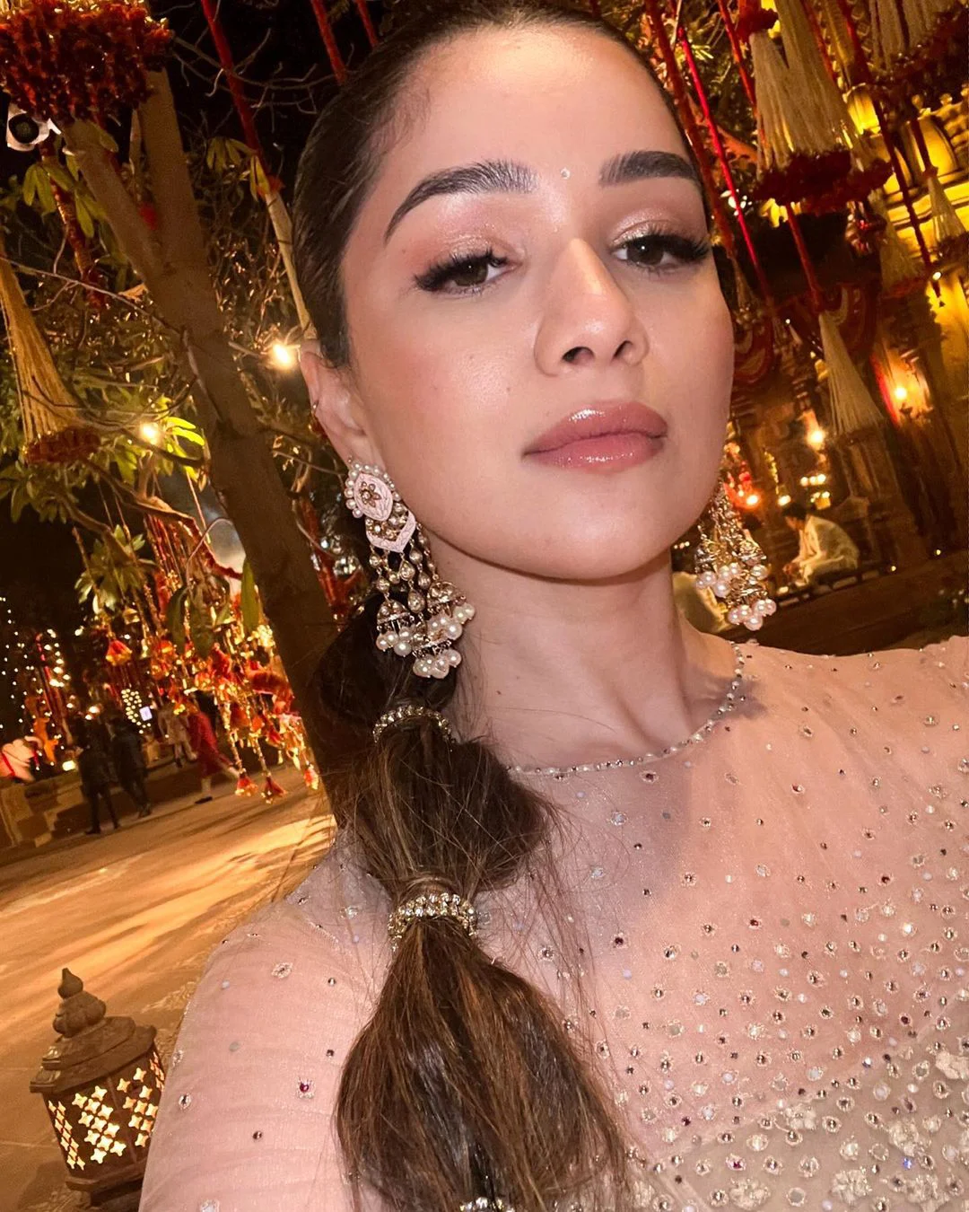 Sara Tendulkar shares her new Photos in instagram