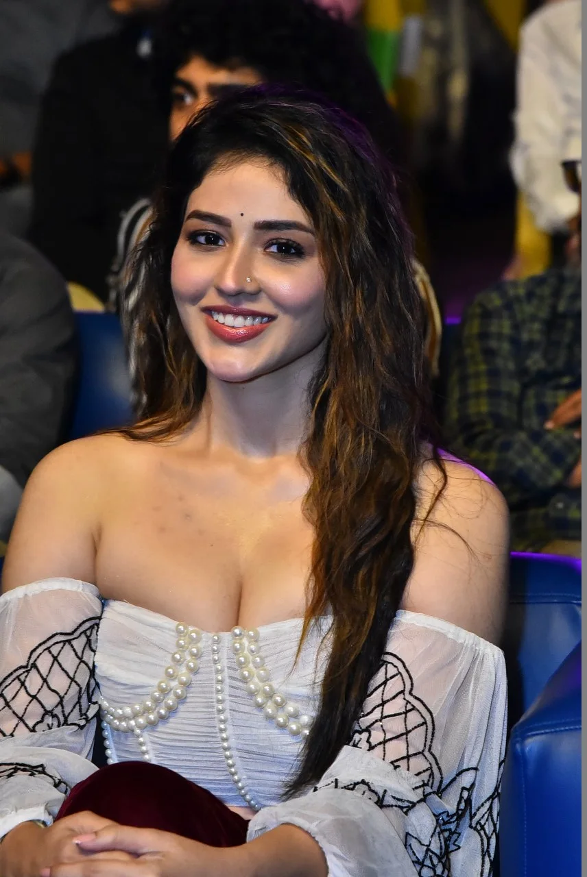 Tollywood Celebrities photos at South India Film Festival