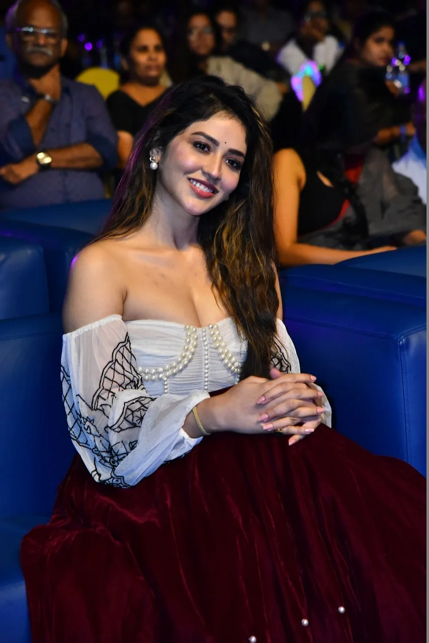 Tollywood Celebrities photos at South India Film Festival