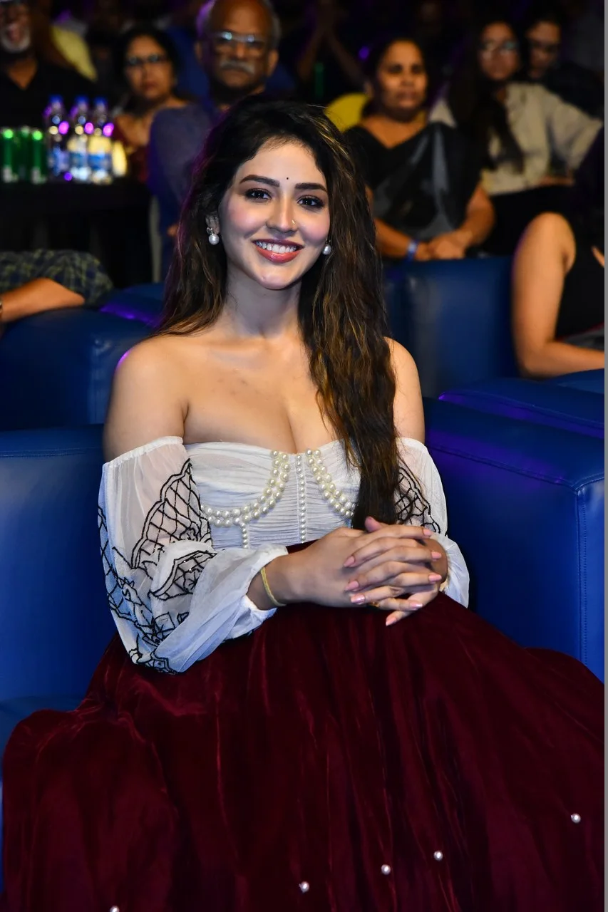 Tollywood Celebrities photos at South India Film Festival