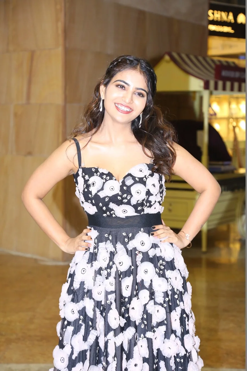 Tollywood Celebrities photos at South India Film Festival