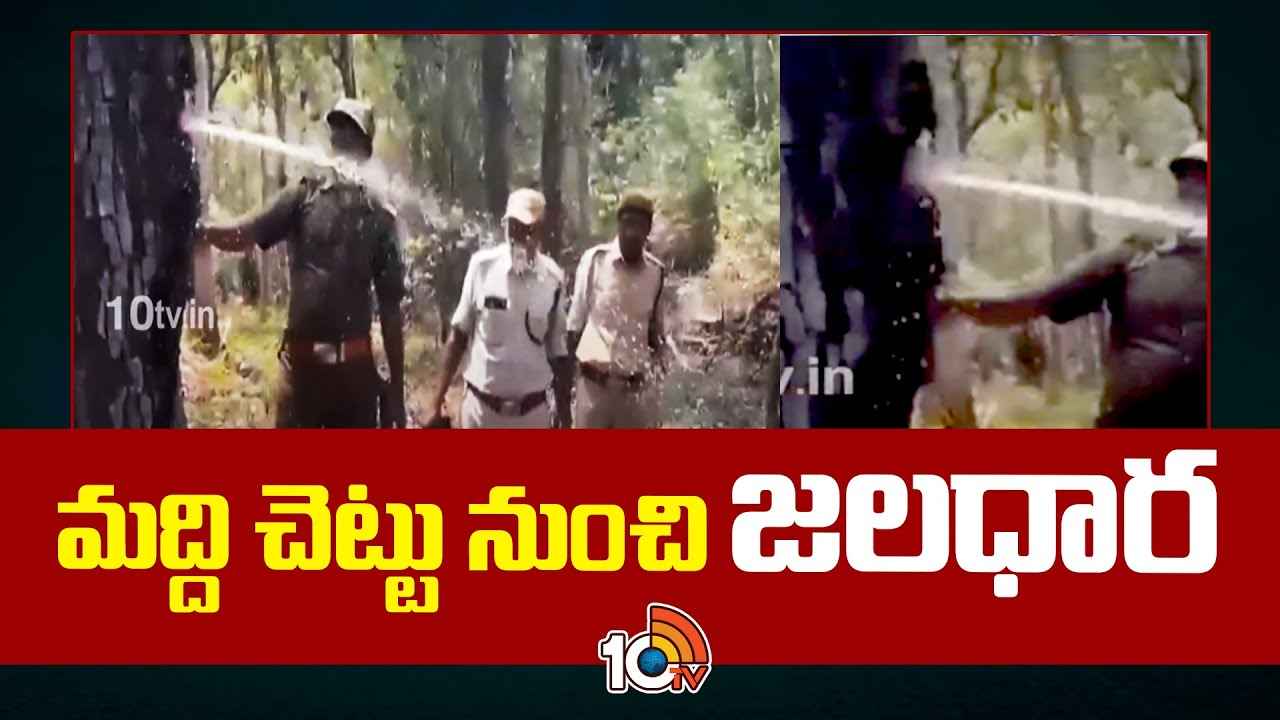Viral Video : ఇదేందయ్యా ఇది.. చెట్టు నుంచి ఉబికి వస్తున్న నీరు, వీడియో వైరల్.. లీటర్ వెయ్యి రూపాయలు..! Viral Video : ఇదేందయ్యా ఇది.. చెట్టు నుంచి ఉబికి వస్తున్న నీరు, వీడియో వైరల్.. లీటర్ వెయ్యి రూపాయలు..!
