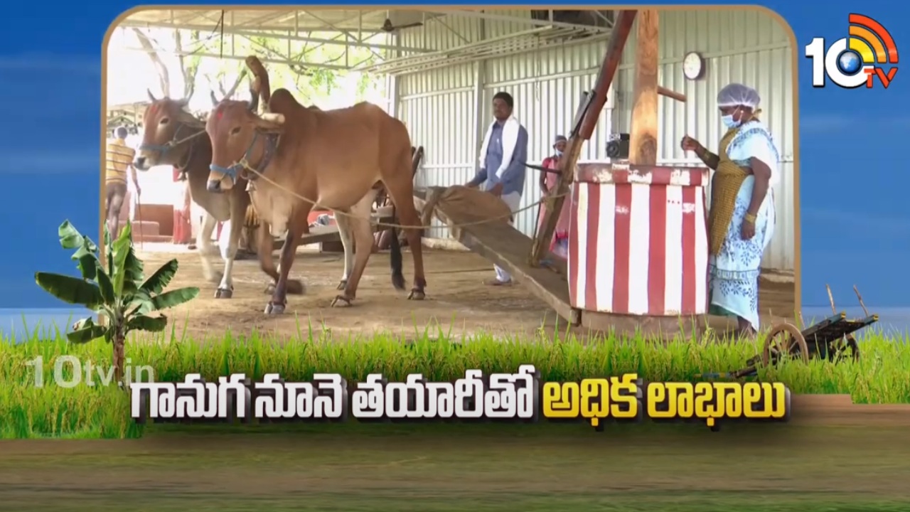 Ganuga Oil : గానుగ నూనె తయారీతో అధిక లాభాలు పొందుతున్న యువరైతు Ganuga Oil : గానుగ నూనె తయారీతో అధిక లాభాలు పొందుతున్న యువరైతు