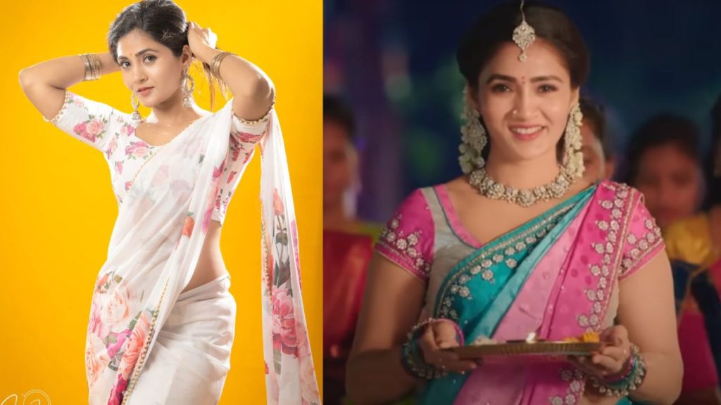 Karthika Deepam Serial Telecasting from Today New Actress Gayathri Simhadri goes Viral