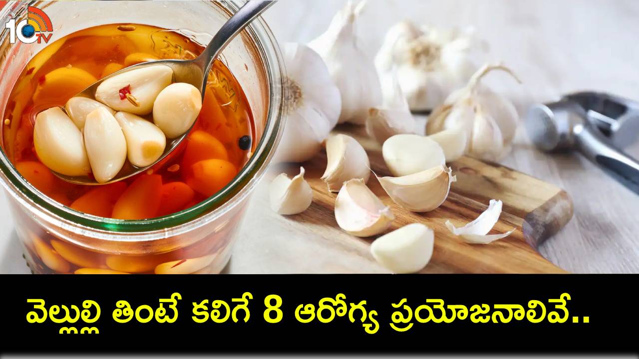 Garlic Health Benefits : వెల్లుల్లి తింటే కలిగే 8 ఆరోగ్య ప్రయోజనాలివే.. మీ డైట్లో తప్పక చేర్చుకోండి! Garlic Health Benefits : వెల్లుల్లి తింటే కలిగే 8 ఆరోగ్య ప్రయోజనాలివే.. మీ డైట్లో తప్పక చేర్చుకోండి!