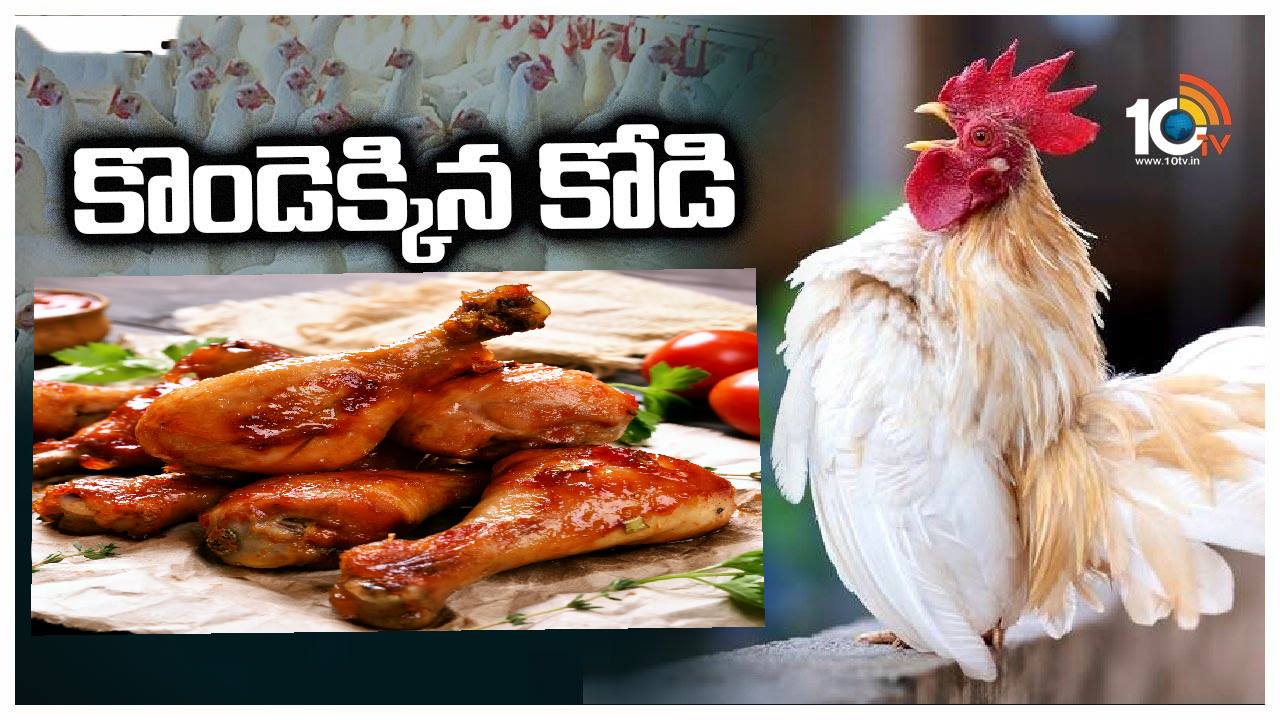 భారీగా పెరిగిన చికెన్ ధరలు.. కిలో ఎన్ని రూపాయలో తెలుసా? రేట్లు ఎందుకు పెరిగాయి? భారీగా పెరిగిన చికెన్ ధరలు.. కిలో ఎన్ని రూపాయలో తెలుసా? రేట్లు ఎందుకు పెరిగాయి?