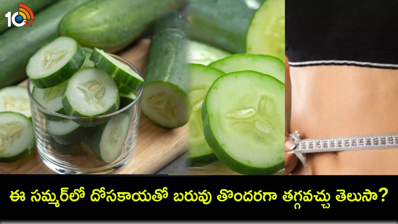 Weight Loss Tips : ఈ సమ్మర్లో బరువు తగ్గడానికి దోసకాయల్లో ఎలాంటి ఆరోగ్య ప్రయోజనాలు ఉన్నాయంటే? Weight Loss Tips : ఈ సమ్మర్లో బరువు తగ్గడానికి దోసకాయల్లో ఎలాంటి ఆరోగ్య ప్రయోజనాలు ఉన్నాయంటే?