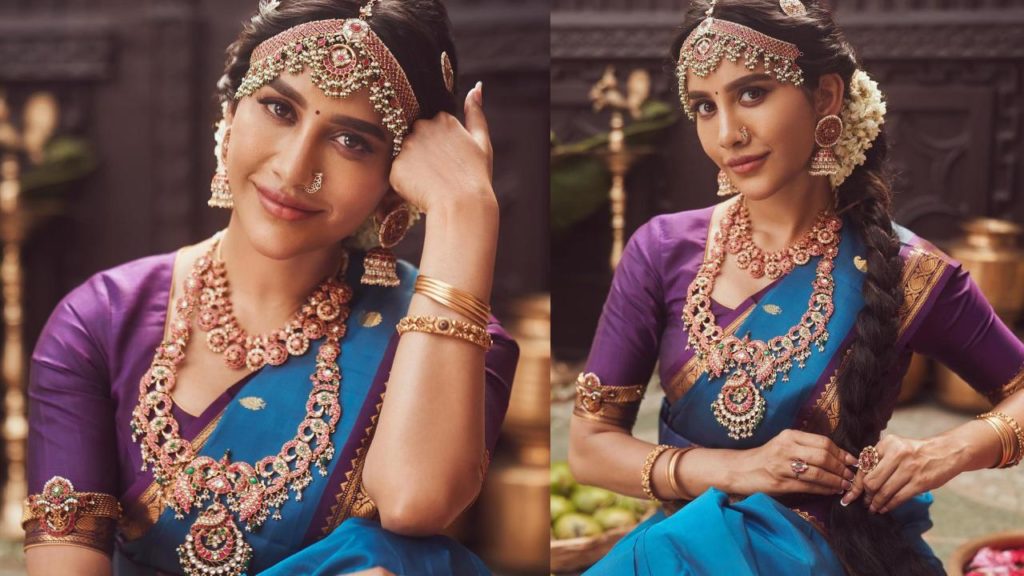 Nabha Natesh Stunning Traditional Looks