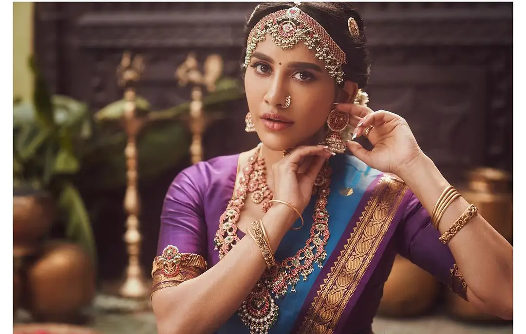 Nabha Natesh Stunning Traditional Looks