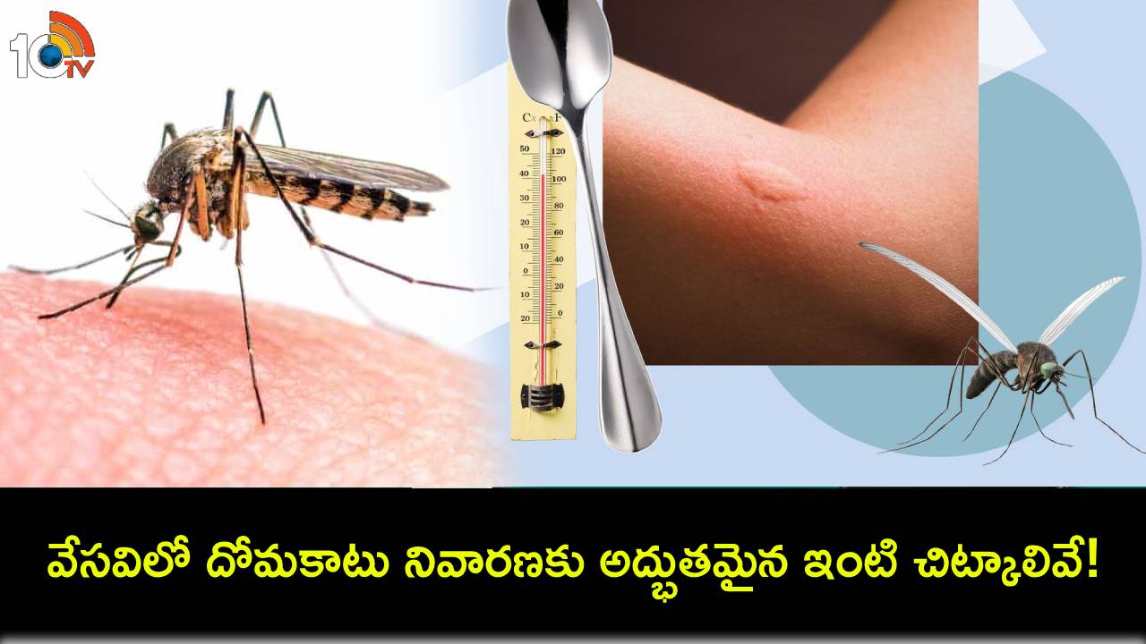 Mosquito Bite : వేసవిలో దోమకాటు నివారణకు 9 అద్భుతమైన ఇంటి చిట్కాలివే! Mosquito Bite : వేసవిలో దోమకాటు నివారణకు 9 అద్భుతమైన ఇంటి చిట్కాలివే!