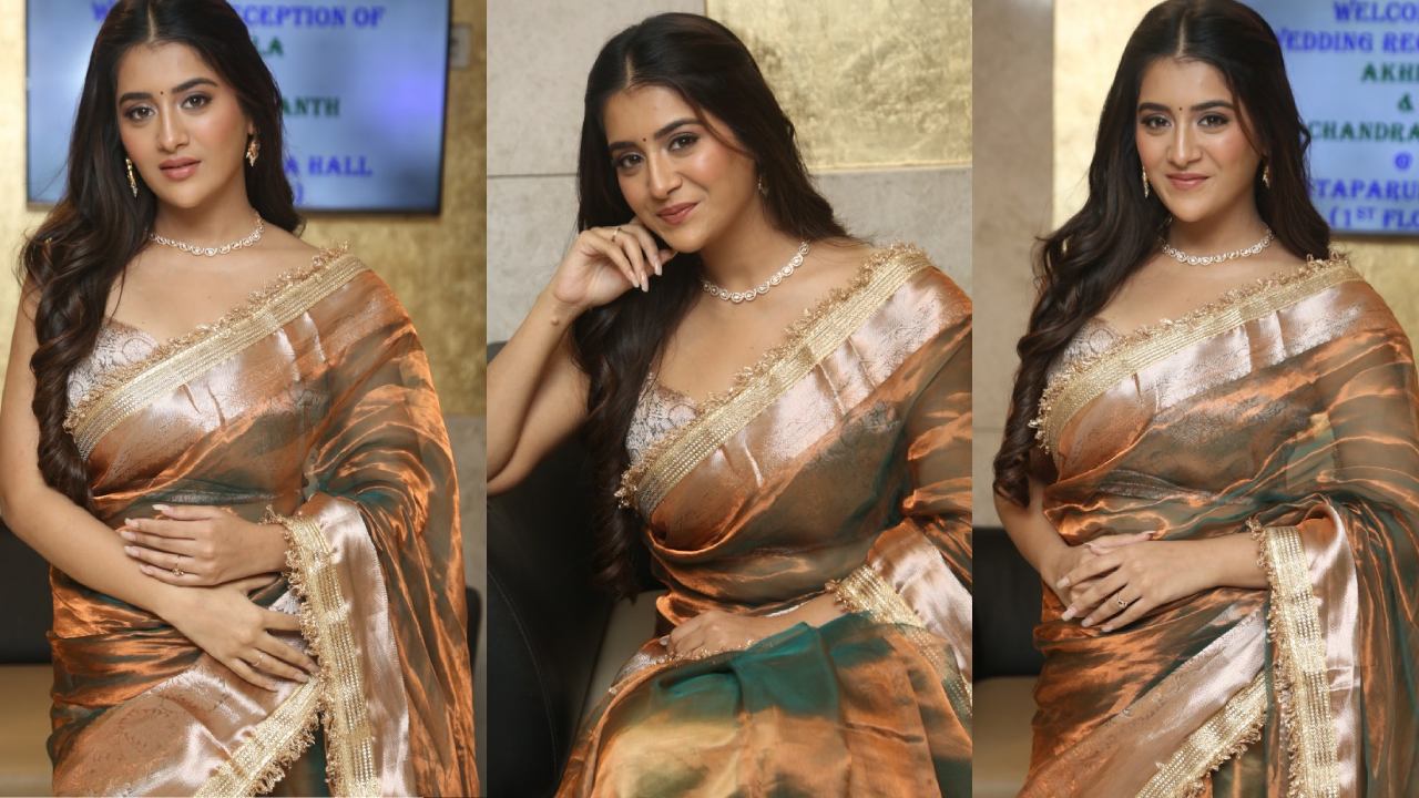 Rashi Singh : చీరలో మెరిసిపోతున్న రాశీ సింగ్..