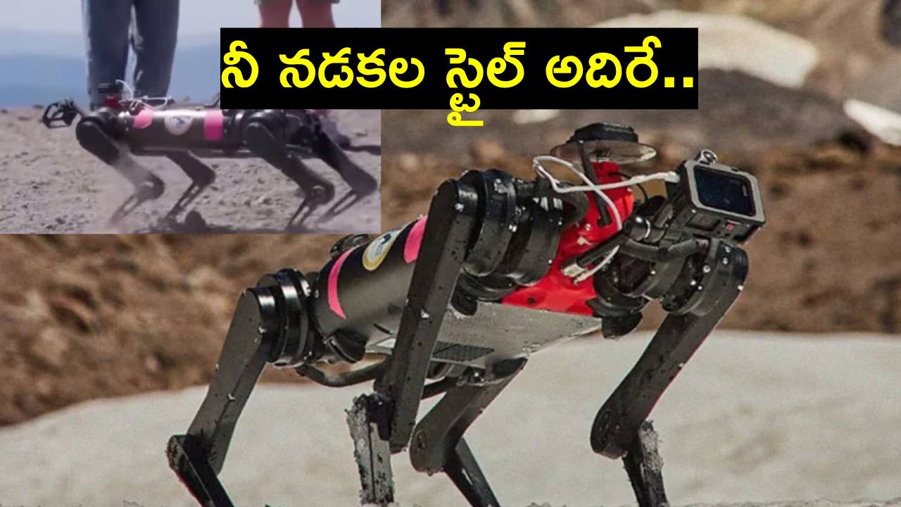 Video: జాబిల్లిపై ఇలా నడవాలి.. చిట్టి రోబోకు నేర్పిస్తున్న నాసా Video: జాబిల్లిపై ఇలా నడవాలి.. చిట్టి రోబోకు నేర్పిస్తున్న నాసా