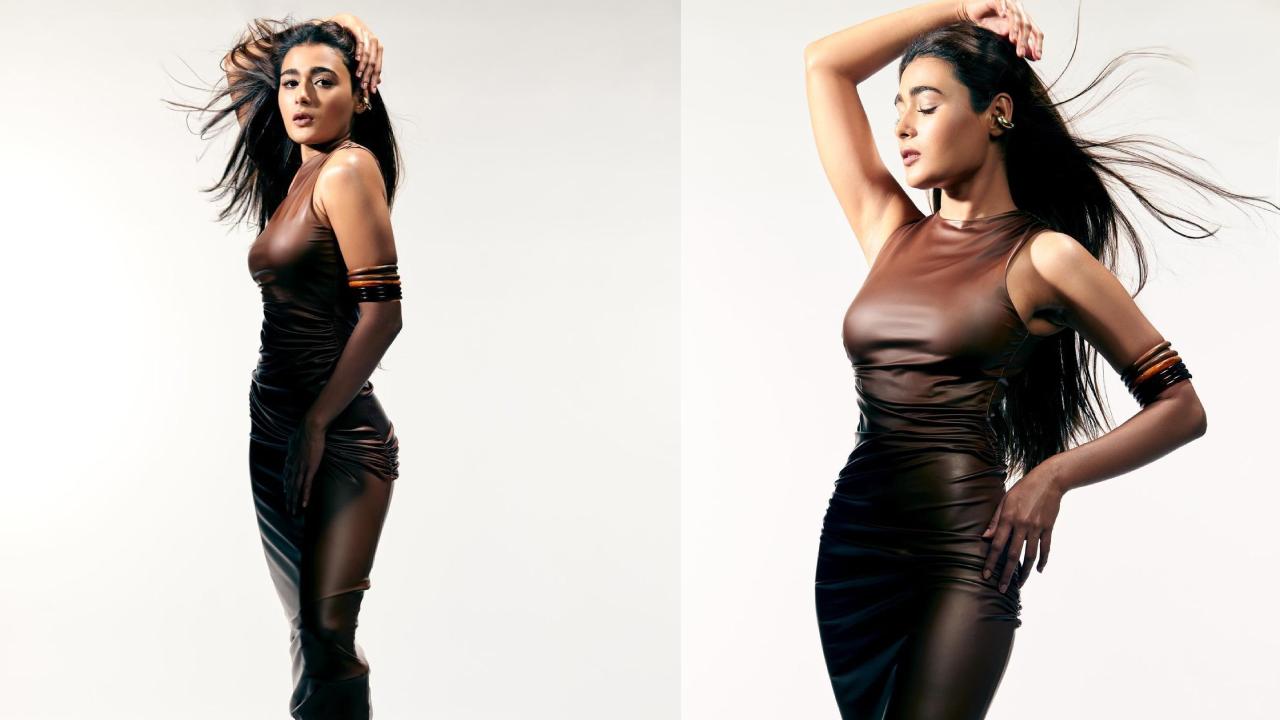 Shalini Pandey : టైట్ ఫిట్ చాక్లెట్ కలర్ డ్రెస్‌లో మెరుస్తున్న షాలిని పాండే..