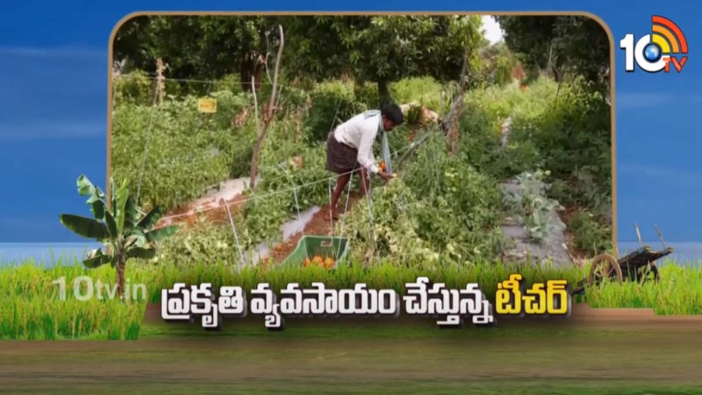 Success Story of Teacher Farmer who getting high profits from Organic Farming