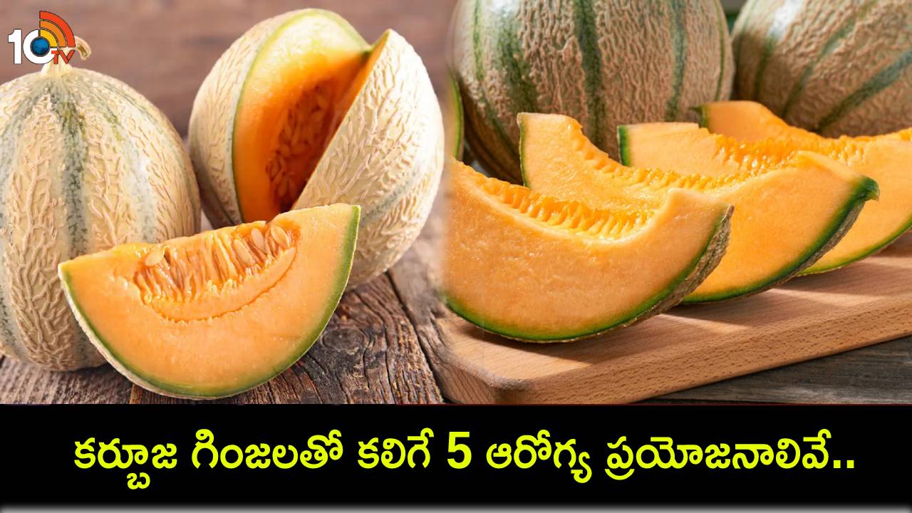 Summer Diet : ఈ సమ్మర్లో కర్బూజ గింజలతో కలిగే 5 అద్భుతమైన ఆరోగ్య ప్రయోజనాలివే.. మీ డైట్లో తప్పక చేర్చుకోండి! Summer Diet : ఈ సమ్మర్లో కర్బూజ గింజలతో కలిగే 5 అద్భుతమైన ఆరోగ్య ప్రయోజనాలివే.. మీ డైట్లో తప్పక చేర్చుకోండి!