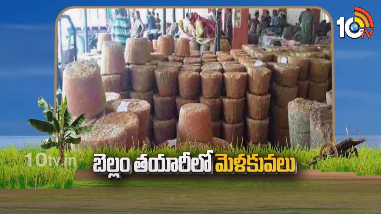 Jaggery Making : బెల్లం తయారీలో మెళకువలు.. నాణ్యమైన బెల్లం దిగుబడులకు సూచనలు Jaggery Making : బెల్లం తయారీలో మెళకువలు.. నాణ్యమైన బెల్లం దిగుబడులకు సూచనలు