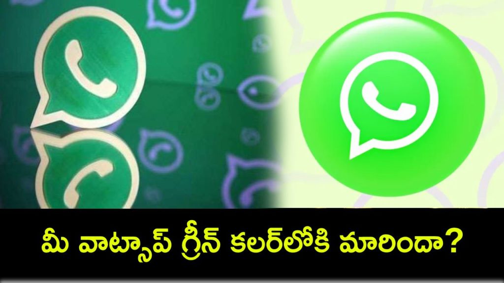WhatsApp Is Green Now _ What Is The Reason Behind The Change