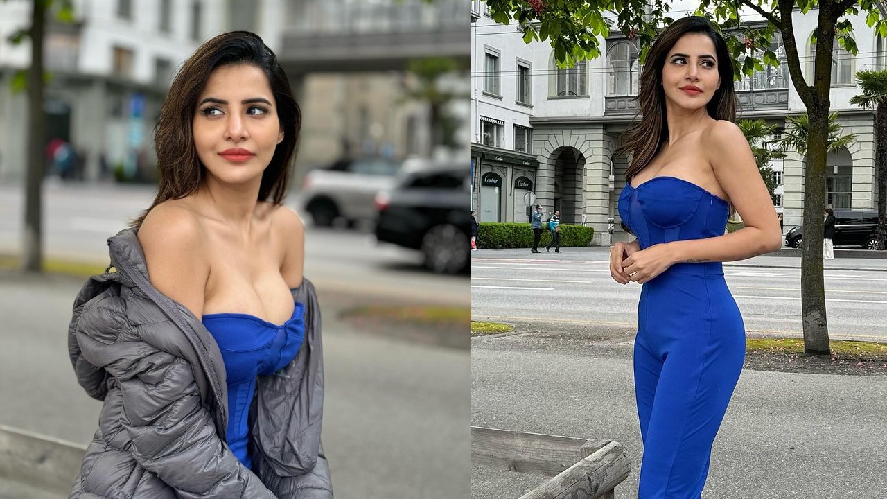 Aashu Reddy : స్విట్జర్లాండ్‌లో అషురెడ్డి అందాల వెల్లువ..