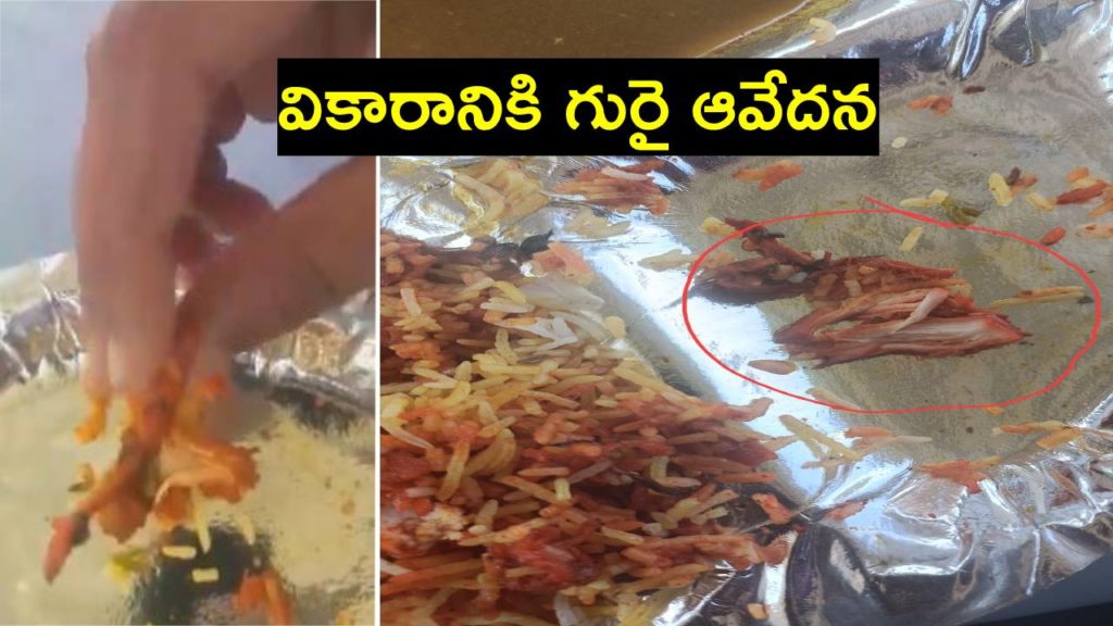Chicken In Veg Biryani