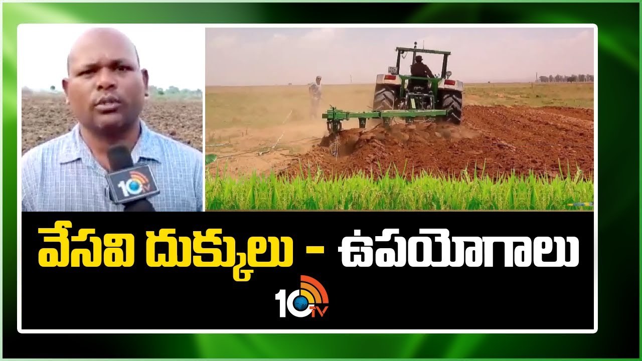 Vesavi Dukkulu : వేసవి దుక్కులతో రైతులకు ఎన్నో లాభాలు – చీడపీడల నివారణ, పెరగనున్న భూసారం Vesavi Dukkulu : వేసవి దుక్కులతో రైతులకు ఎన్నో లాభాలు – చీడపీడల నివారణ, పెరగనున్న భూసారం