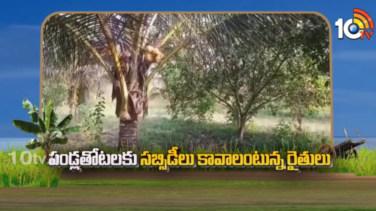 Orchards Subsidies : పండ్లతోటలకు సబ్సిడీలు కావాలంటున్న రైతులు Orchards Subsidies : పండ్లతోటలకు సబ్సిడీలు కావాలంటున్న రైతులు