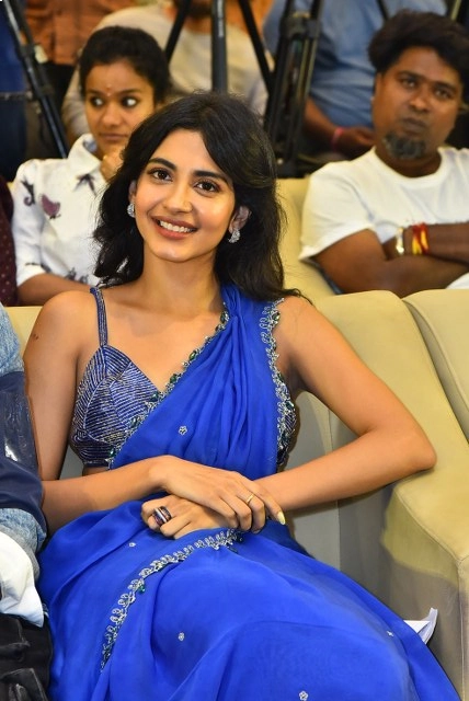 Gam Gam Ganesha Cinema Pre Release Event