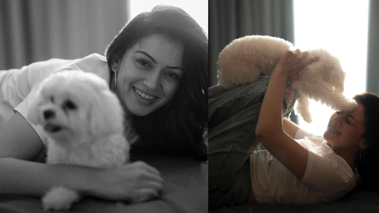 Hansika Motwani : కుక్కపిల్లతో హన్సిక క్యూట్ ఫొటోలు..