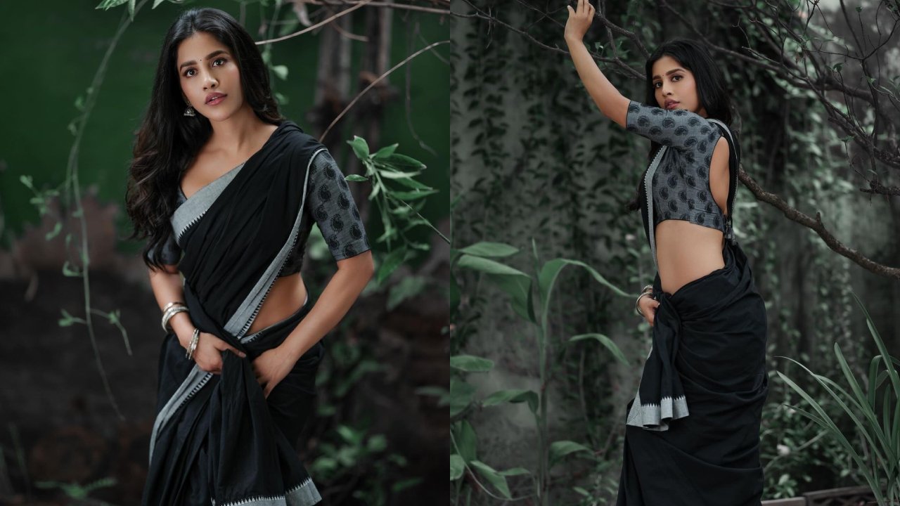 Nabha Natesh : చీరలో ఎంత ముద్దుగా ఉందో నభా నటేష్..