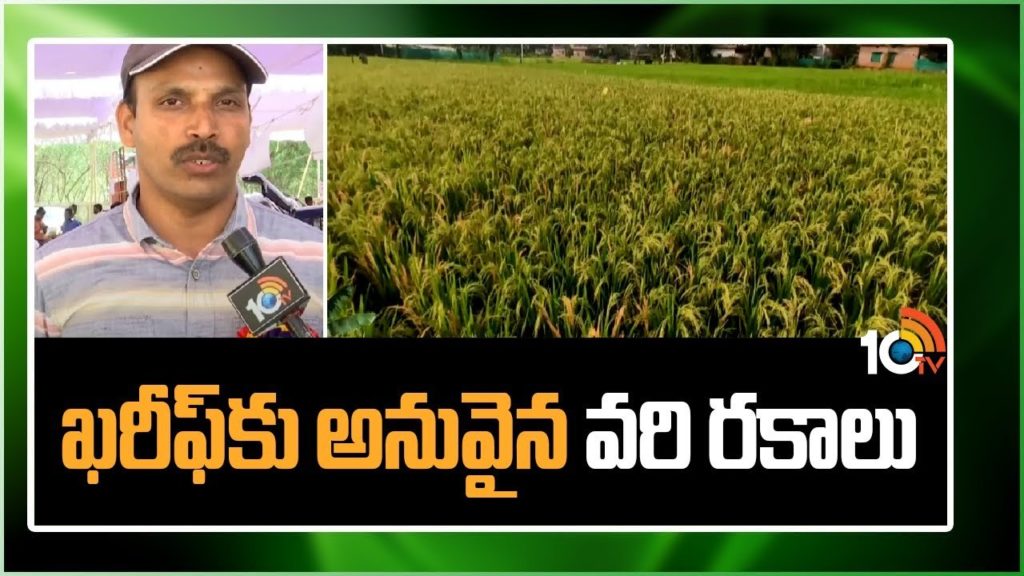 Paddy Crop Cultivation Methods