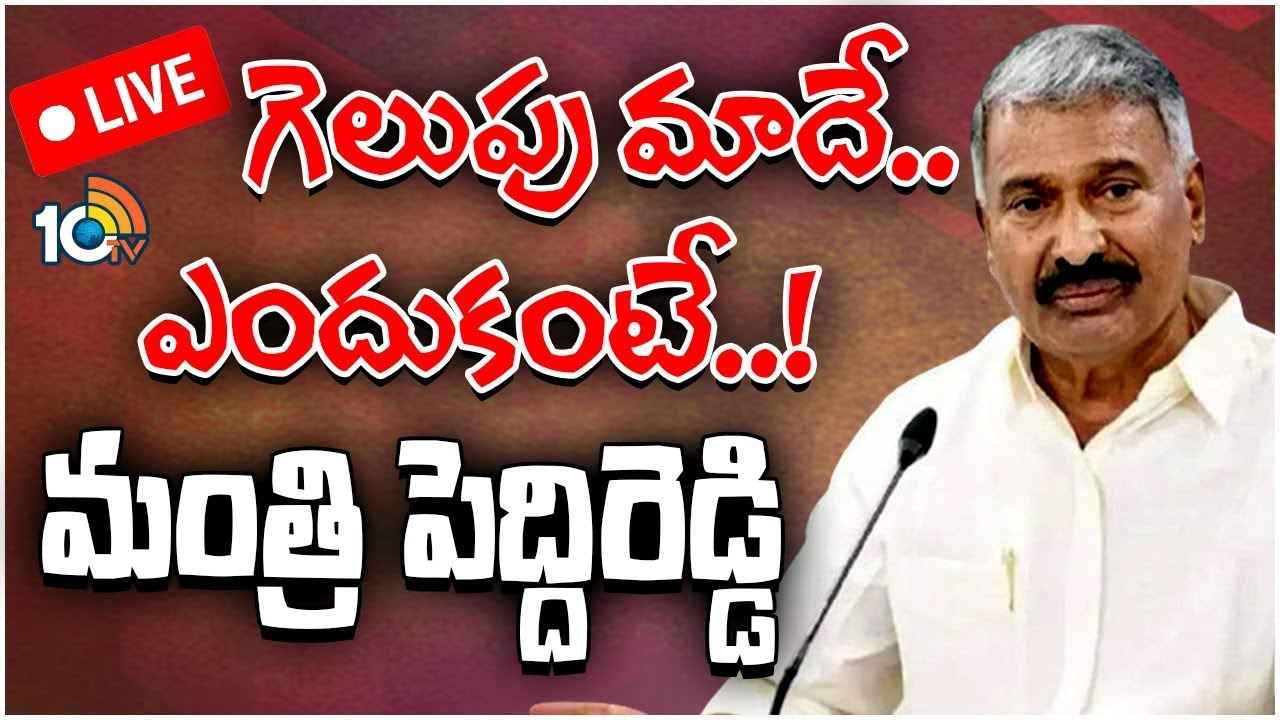పోలింగ్ శాతం పెరగడానికి కారణమిదే, విదేశాలకు పారిపోతున్నారని తప్పుడు ప్రచారం- మంత్రి పెద్దిరెడ్డి పోలింగ్ శాతం పెరగడానికి కారణమిదే, విదేశాలకు పారిపోతున్నారని తప్పుడు ప్రచారం- మంత్రి పెద్దిరెడ్డి