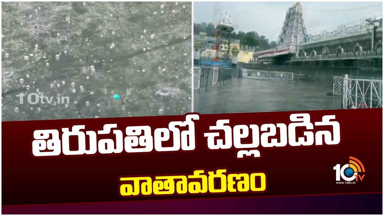 Tirupati Rain : హమ్మయ్య.. ఎట్టకేలకు కురిసిన వర్షం.. తిరుపతి, తిరుమలలో చల్లబడిన వాతావరణం