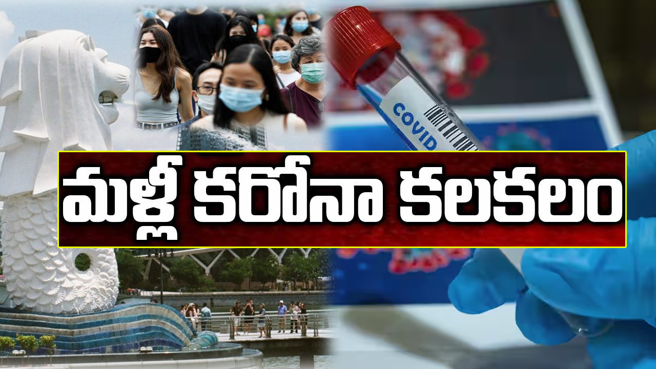 మళ్లీ టెన్షన్ పెడుతోన్న కరోనా.. సింగపూర్లో వ్యాపిస్తోన్న మహమ్మారి మళ్లీ టెన్షన్ పెడుతోన్న కరోనా.. సింగపూర్లో వ్యాపిస్తోన్న మహమ్మారి
