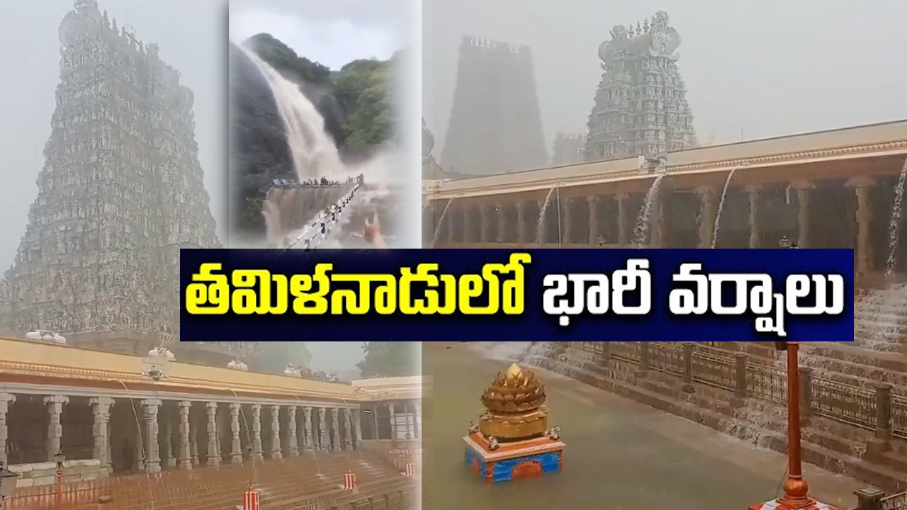 తమిళనాడులో భారీ వర్షాలు.. పలు జిల్లాల్లో పొంగిపొర్లుతున్న జలపాతాలు తమిళనాడులో భారీ వర్షాలు.. పలు జిల్లాల్లో పొంగిపొర్లుతున్న జలపాతాలు